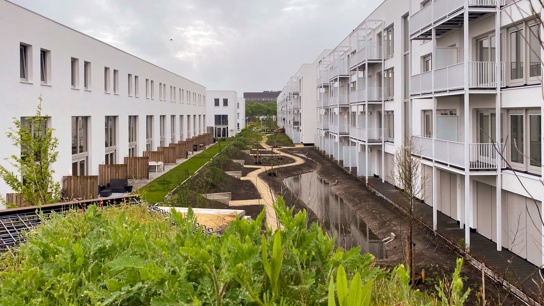Nieuwland Cruijffstraat 2 2 Foto Ton Beenen